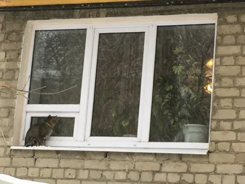 Трёхстворчатое окно в кирпичном доме — Саратов